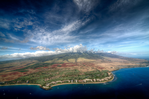 Maui Téléchargement Numérique