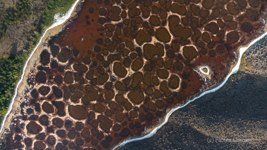 Spotted Lake  Print