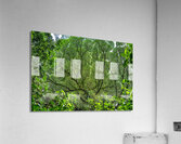 Costa Rica  Acrylic Print