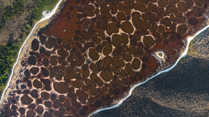 Spotted Lake