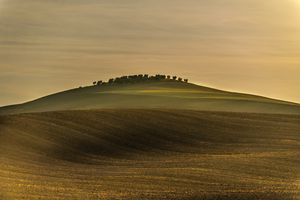 Toscane
