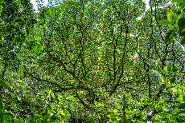 Costa Rica