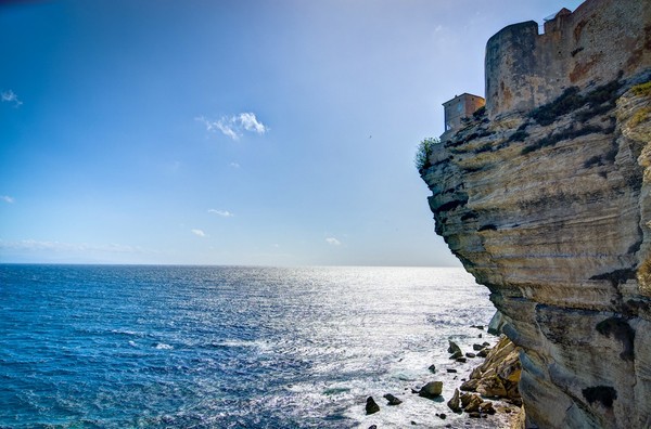 Bonifacio border=0></a>
                            
                                                        </div>
                        </div>




                        
                                                          <div class=