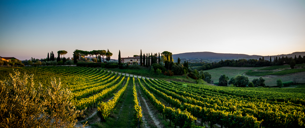 Tuscany Mormoraia Téléchargement Numérique