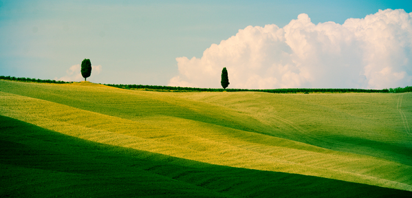 Tuscany Curves Digital Download