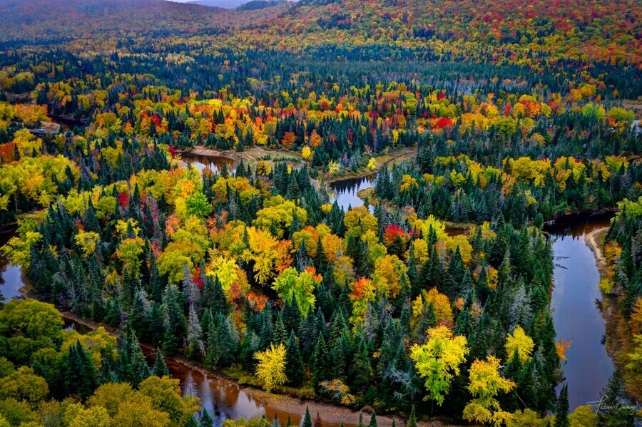 Tremblant  Imprimer