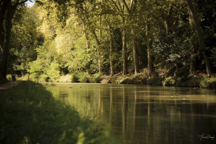 Canal  Carcassone  Imprimer