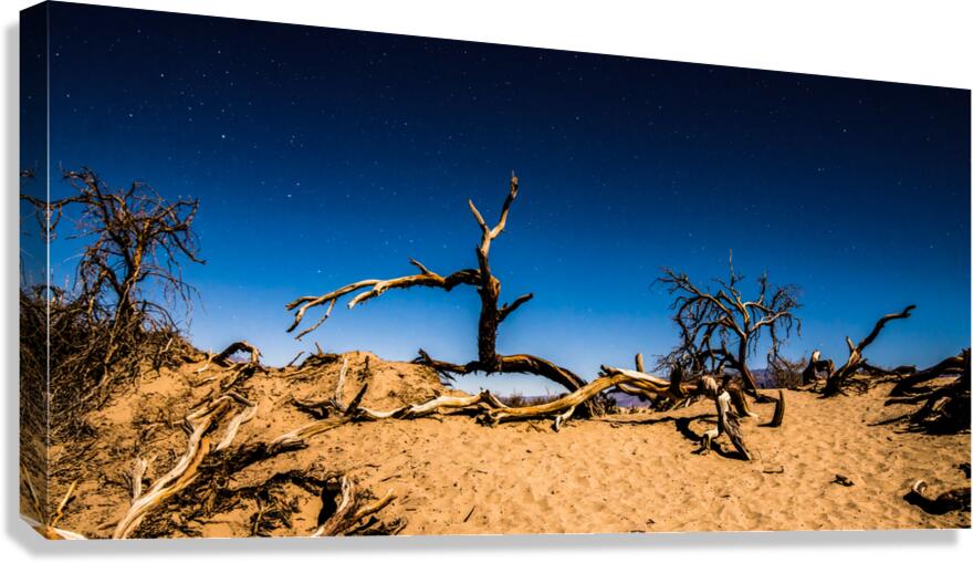 Death Valley Night  Canvas Print