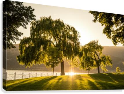 Kelowna  Canvas Print