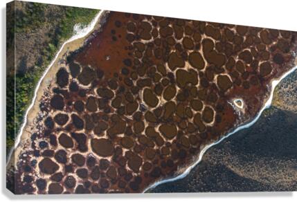 Spotted Lake Canvas print