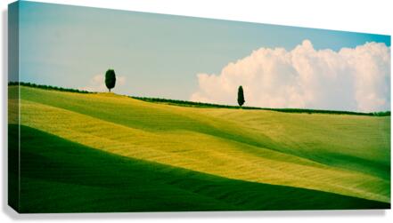 Tuscany Curves