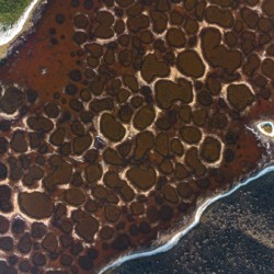 Spotted Lake