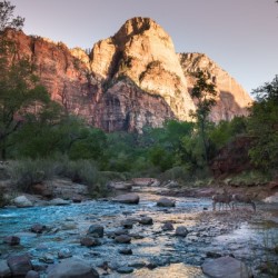 Zion