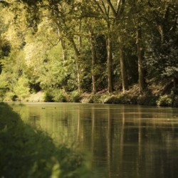 Canal  Carcassone