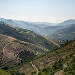 Douro