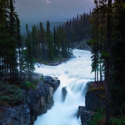 Sunwapta falls