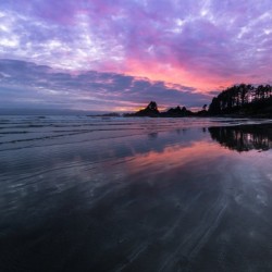 Tofino