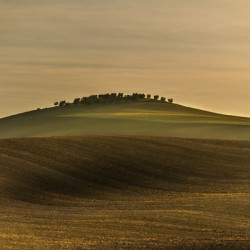 Toscane
