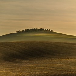 Toscane