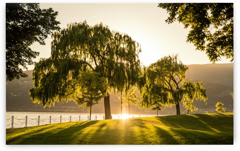 Kelowna by Fabien Dormoy
