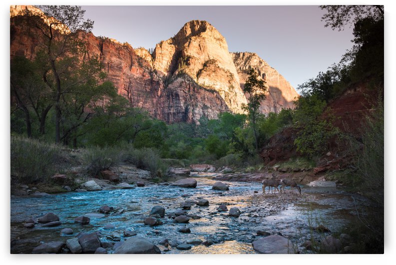 Zion by Fabien Dormoy