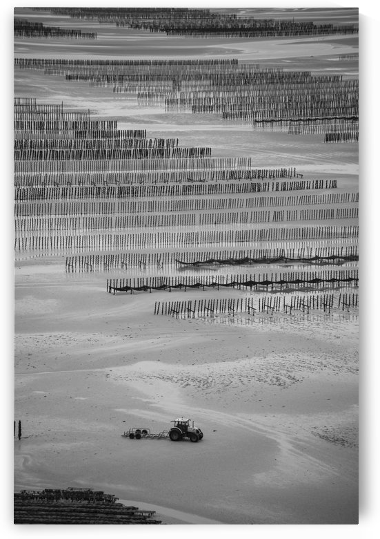 Cancale by Fabien Dormoy