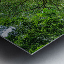 Costa Rica Metal print
