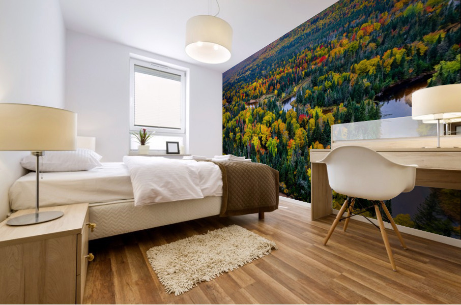 Tremblant Mural print