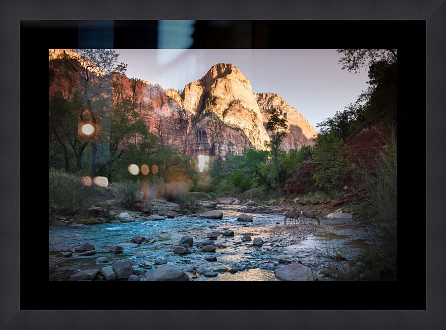 Zion  Impression encadrée