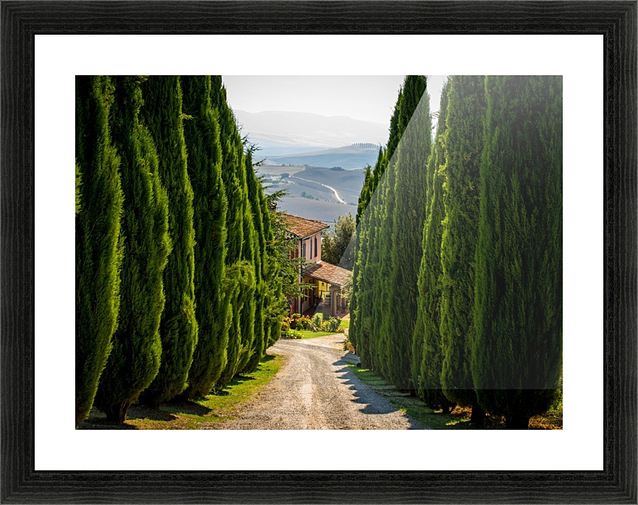  Fine Art print