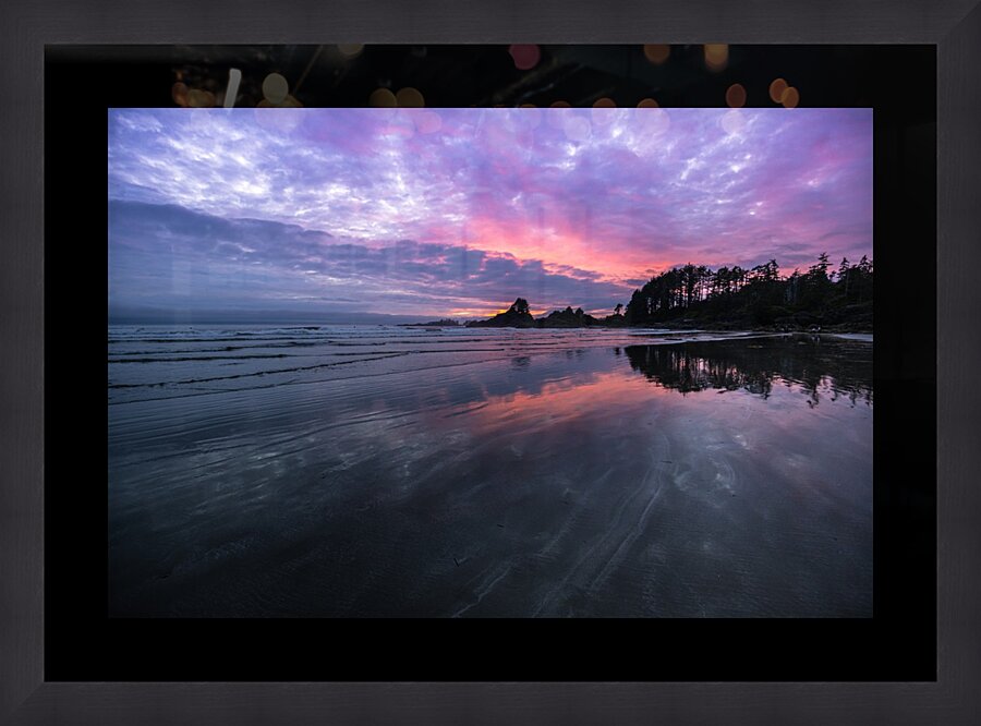 Tofino  Framed Print Print