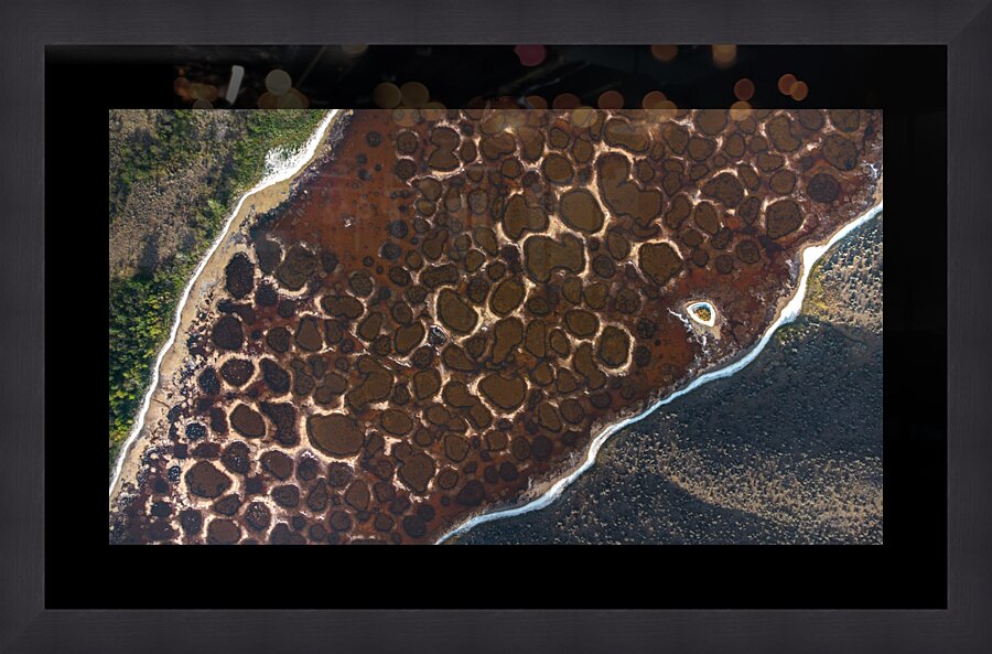 Spotted Lake  Framed Print Print