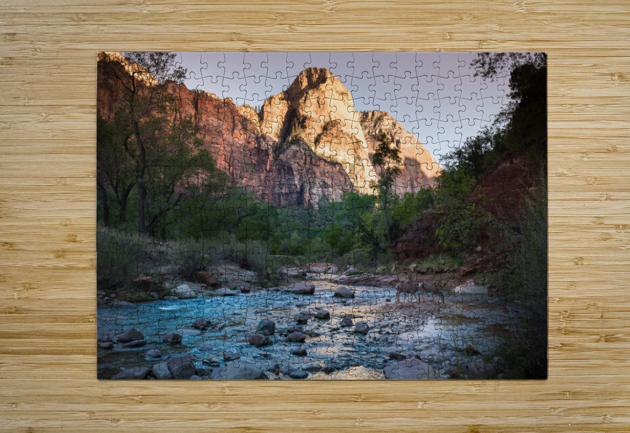 Zion  HD Metal print with Floating Frame on Back