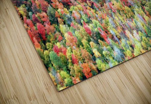 Saint-Bruno jigsaw puzzle