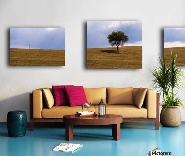 Tuscany Tree Canvas print
