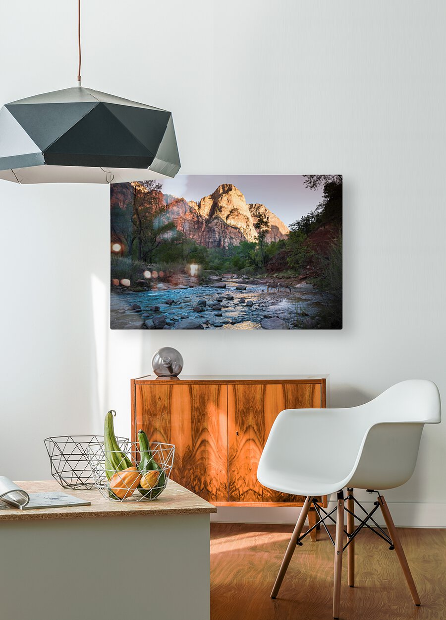 Zion  HD Metal print with Floating Frame on Back