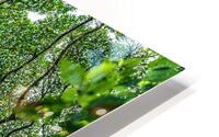 Costa Rica HD Metal print