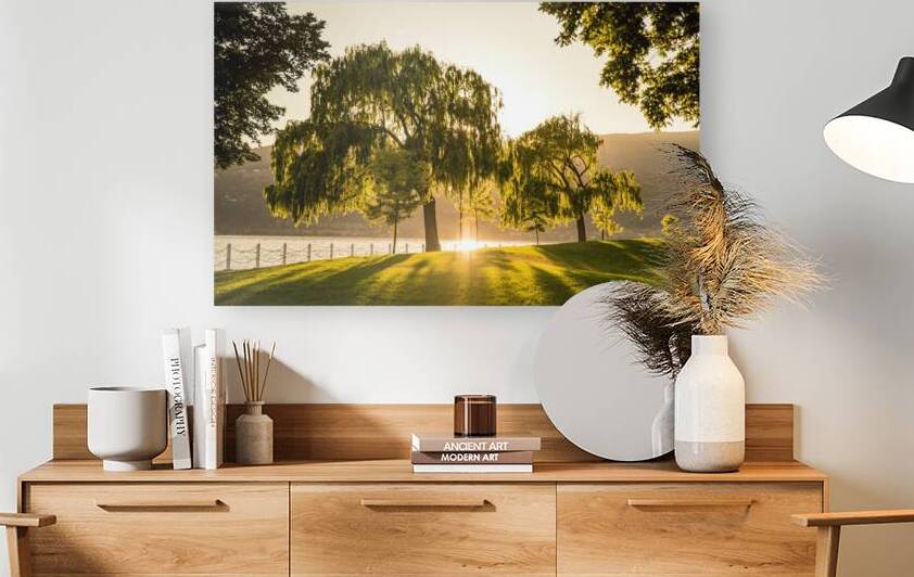 Kelowna by Fabien Dormoy