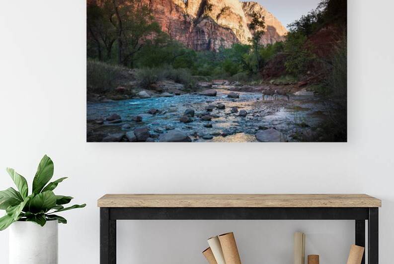 Zion by Fabien Dormoy