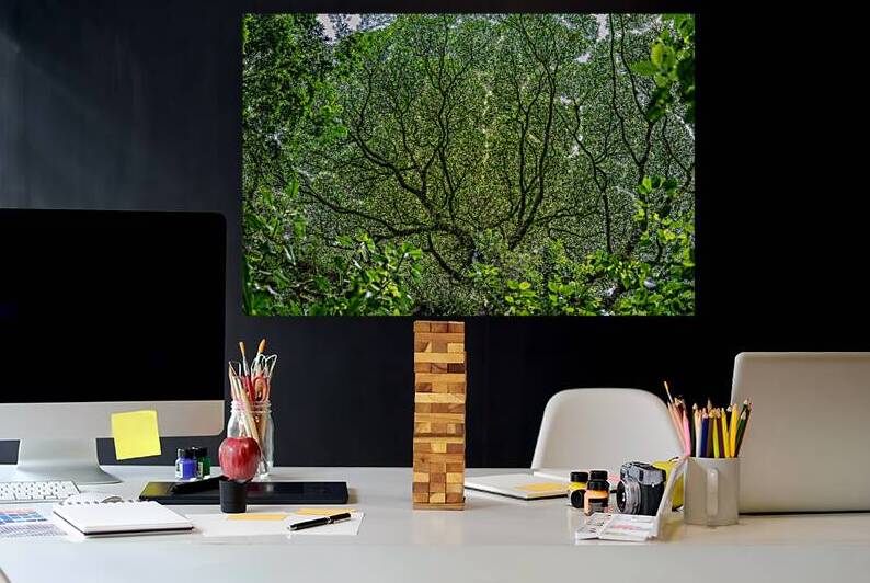 Costa Rica by Fabien Dormoy