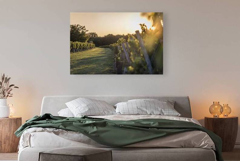 Lussac by Fabien Dormoy