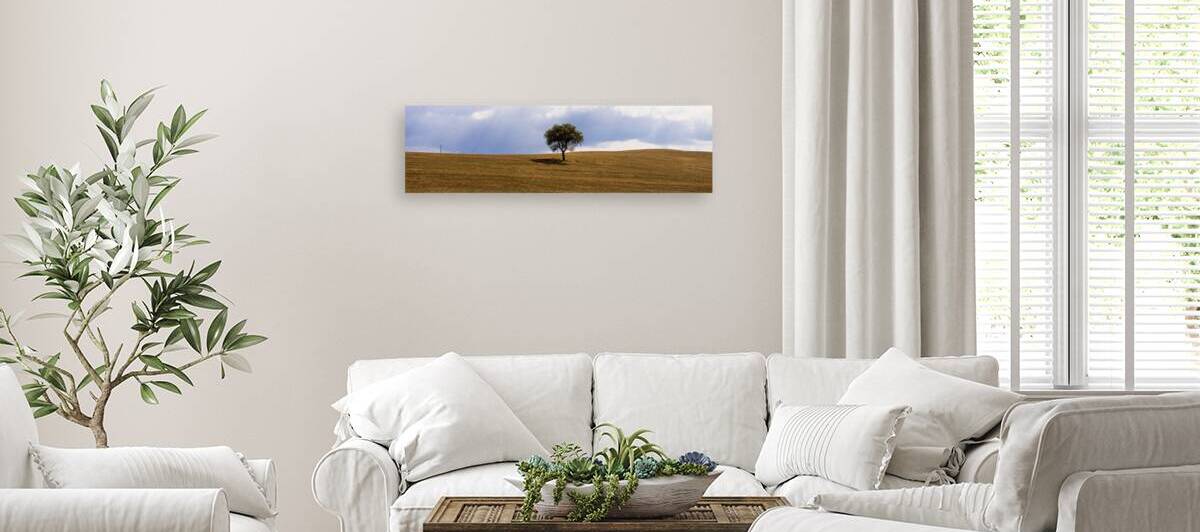 Tuscany Tree by Fabien Dormoy