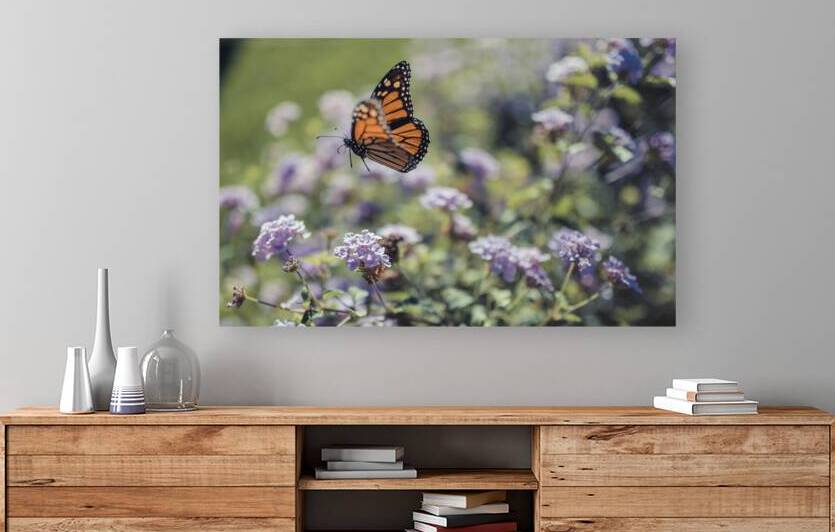 Exploration by Fabien Dormoy