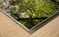 Tokyo Garden Wood print