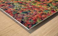Saint-Bruno Wood print