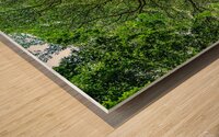 Costa Rica Wood print