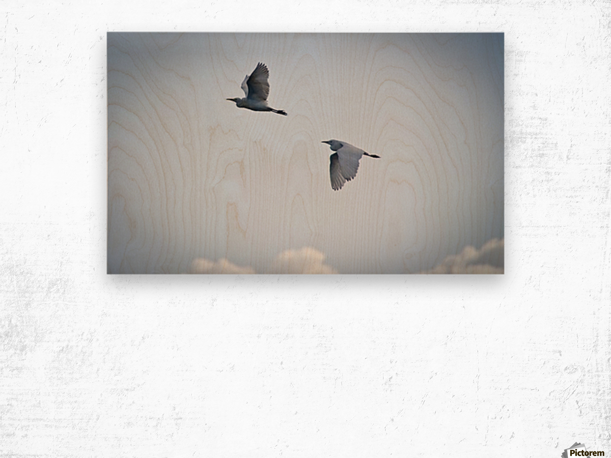 Birds duo Impression sur bois