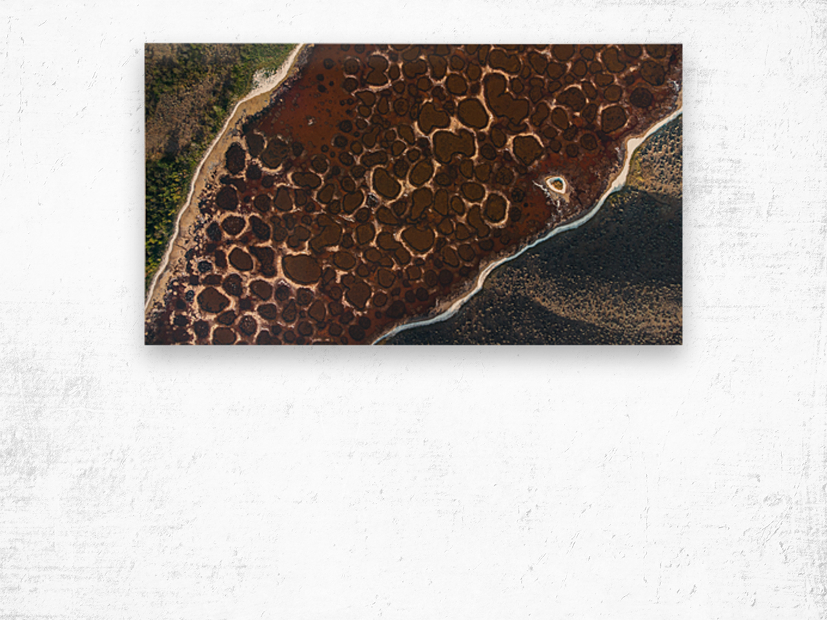 Spotted Lake Wood print