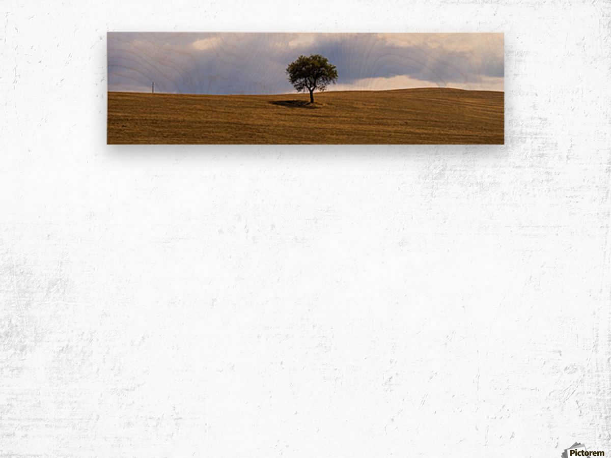 Tuscany Tree Wood print